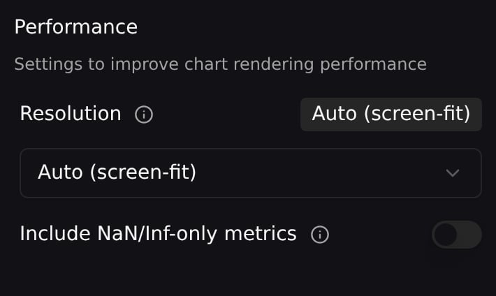 Resolution and NaN/Inf settings in the Performance section