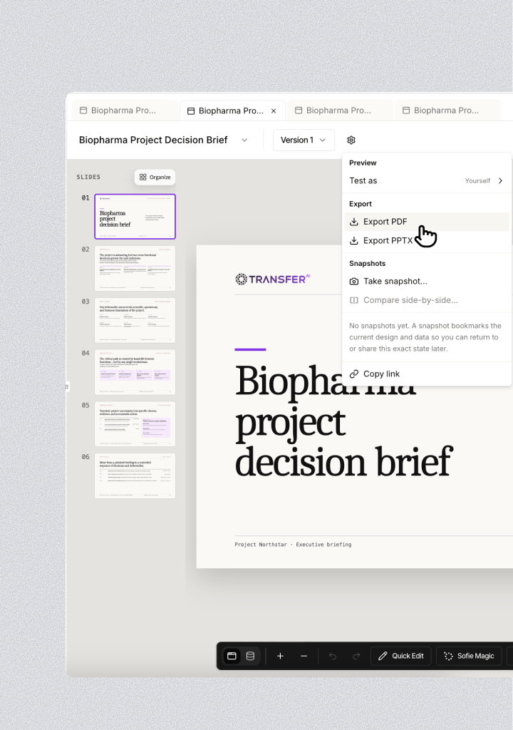 Slides Surface settings with PDF, PPTX, and snapshot controls