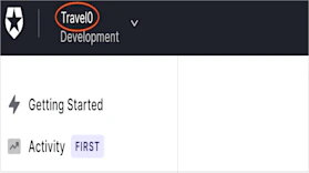 Find the name or ID of your Auth0 tenant