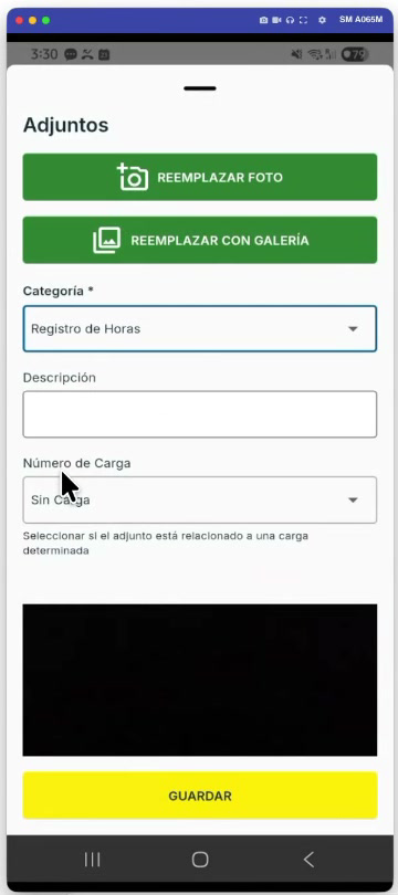 Categoría en Registro de Horas y Número de Carga en Sin Carga