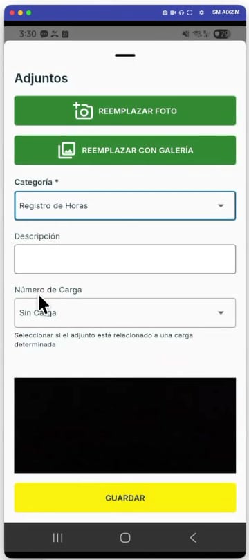 Categoría en Registro de Horas y Número de Carga en Sin Carga