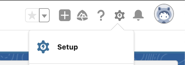 Open Setup in Salesforce