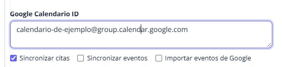 Campo Google Calendario ID con un identificador ficticio y las tres opciones de sincronización.