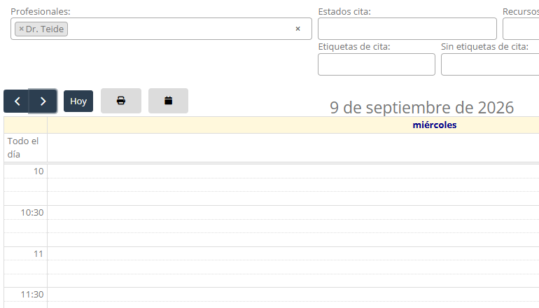 Calendario del profesional en vista de día con un hueco libre para una cita