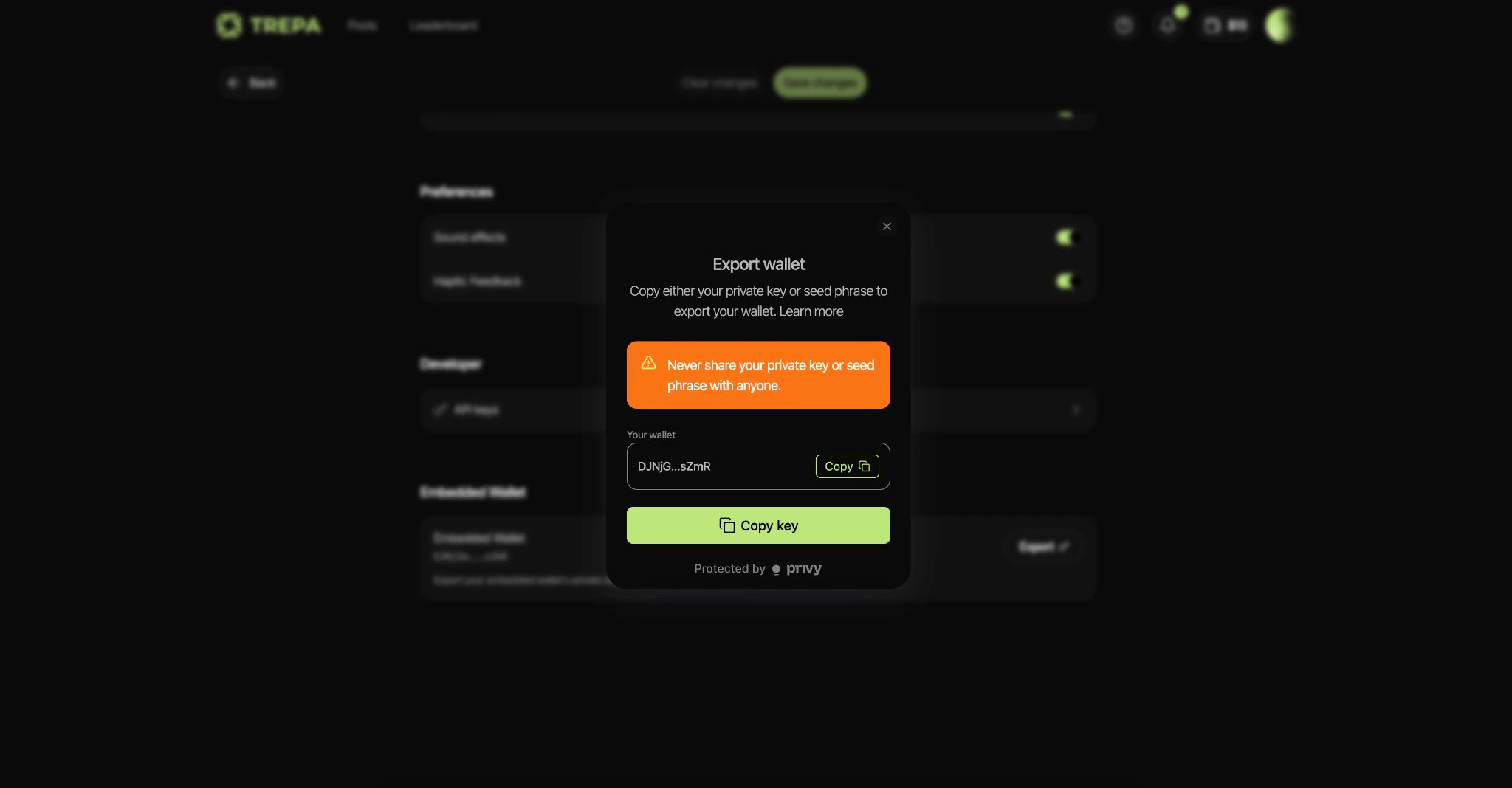 Export wallet modal with Copy key