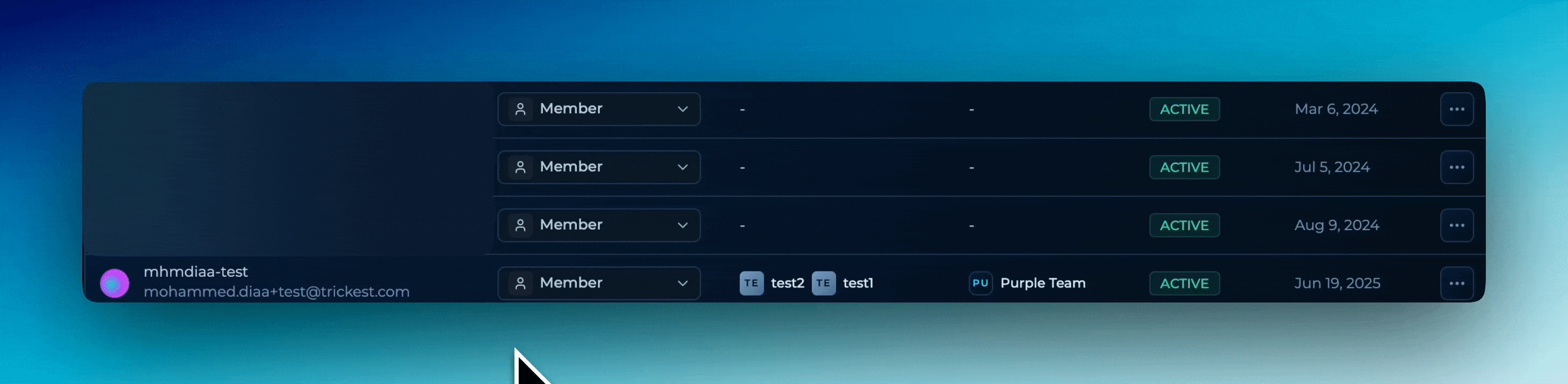 Assigning Global Roles