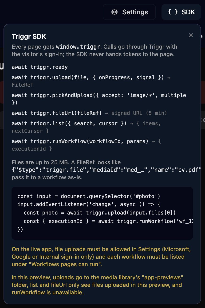 The Triggr SDK popover opened from the SDK button in the app editor, listing triggr.ready, upload, pickAndUpload, fileUrl, list and runWorkflow with what each returns, a FileRef example, a short upload-and-run code sample, and notes that uploads and workflows need Settings and that runWorkflow is unavailable in the preview.