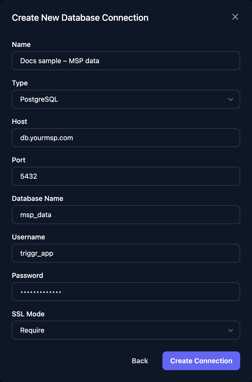The Create New Database Connection form with Name Docs sample – MSP data, Type PostgreSQL, Host db.yourmsp.com, Port 5432, Database Name msp_data, Username triggr_app, a masked Password, SSL Mode Require, and Back and Create Connection buttons.
