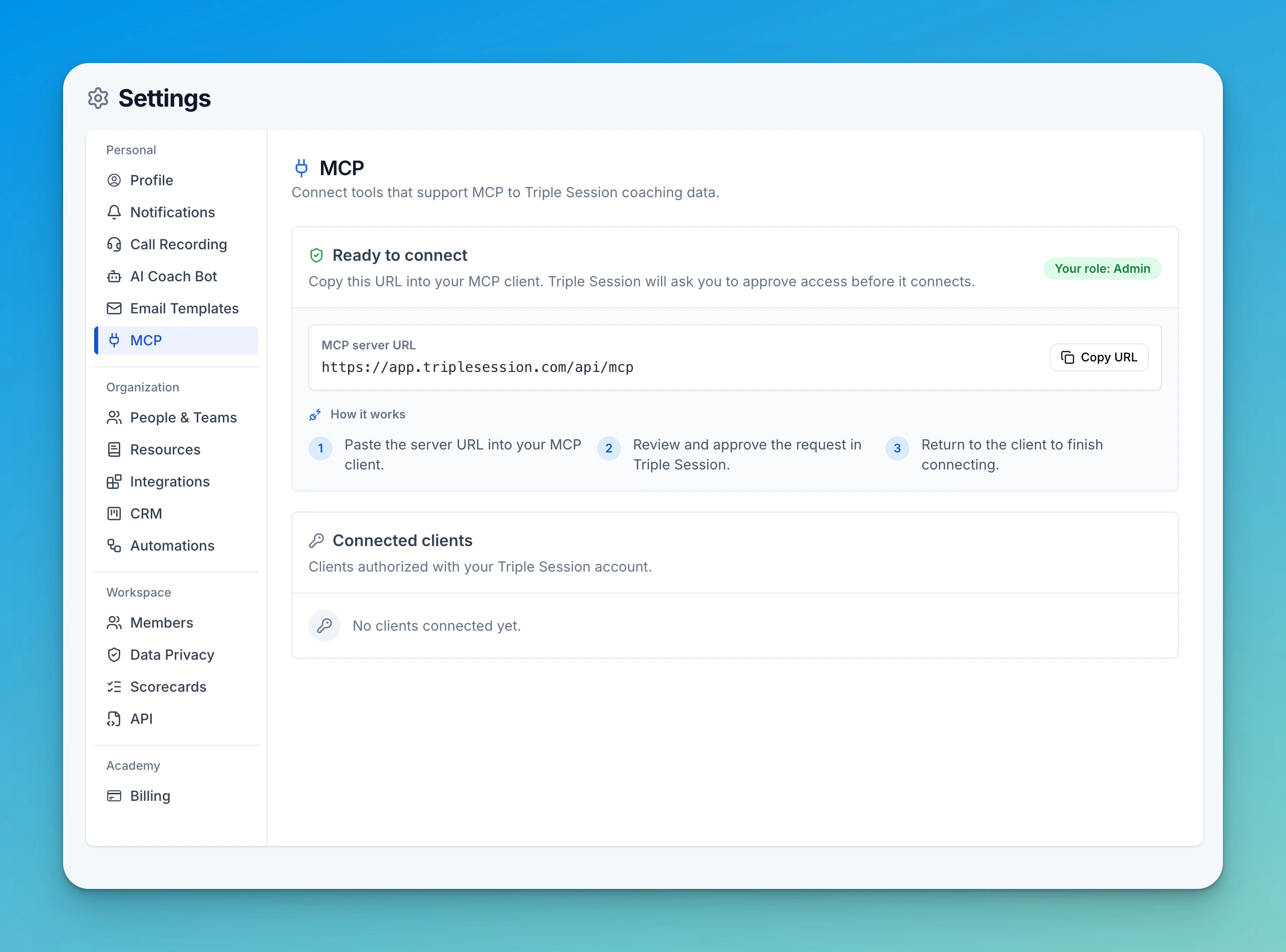 MCP settings page in Triple Session