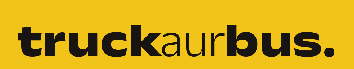 light logo