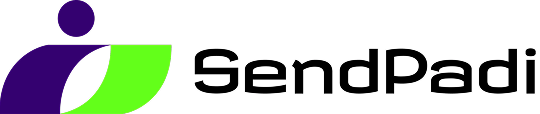 light logo