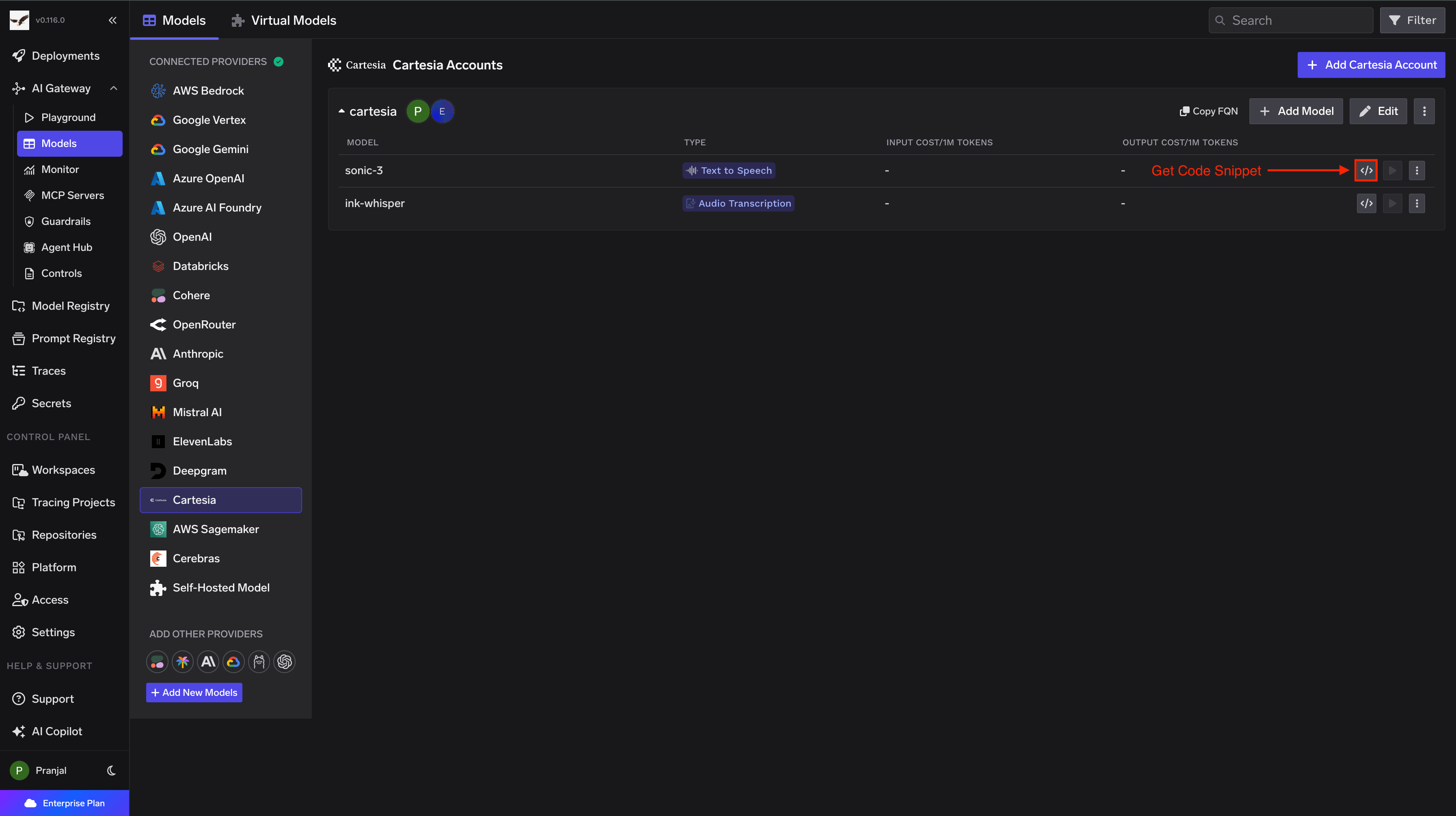 Code Snippet and Try in Playground Buttons for each Deepinfra model