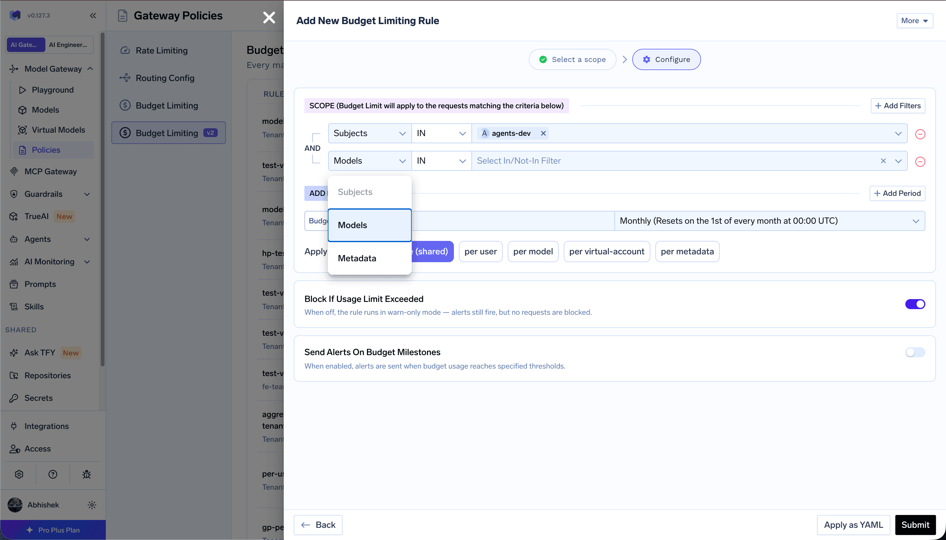 Budget rule scope filters with Subjects, Models, and Metadata