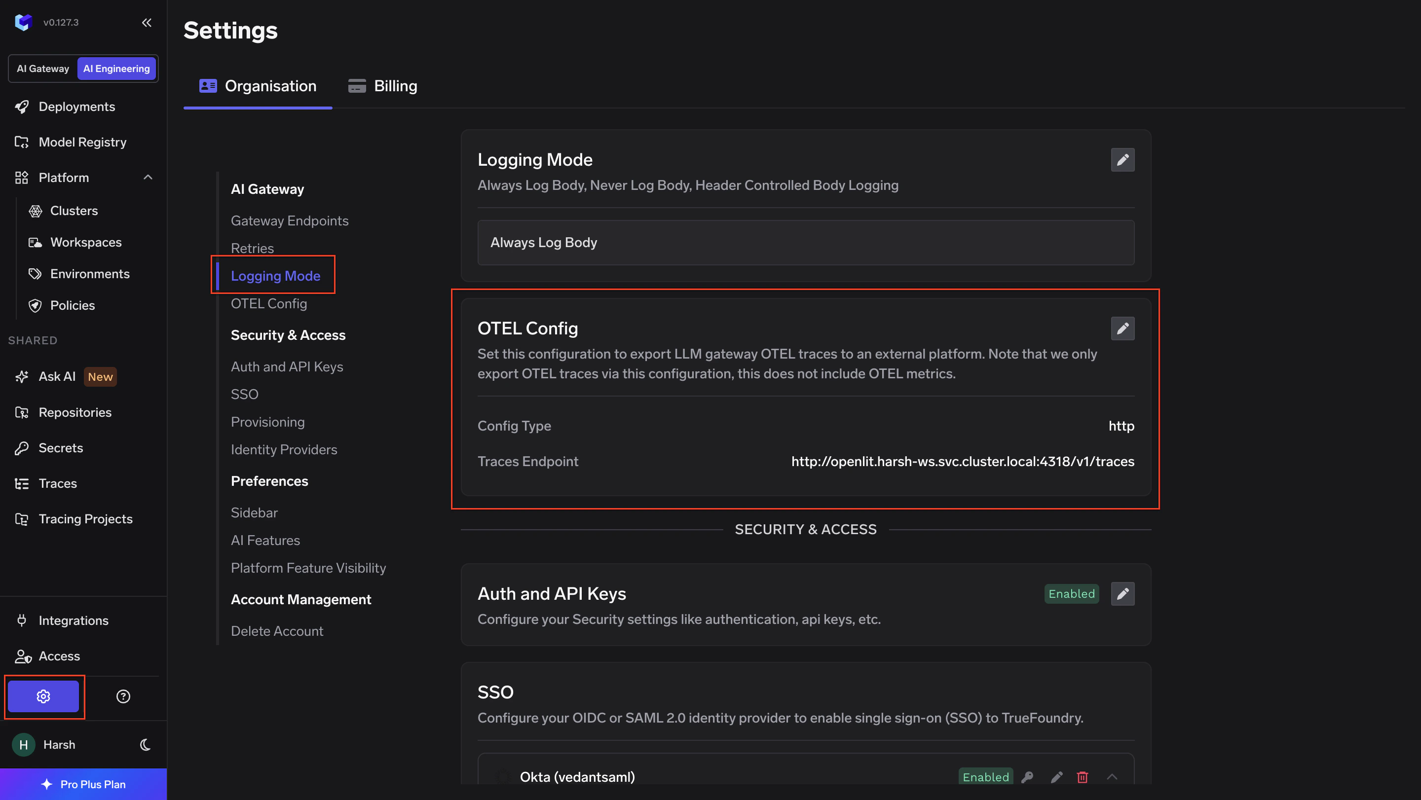 TrueFoundry AI Gateway Controls Settings page