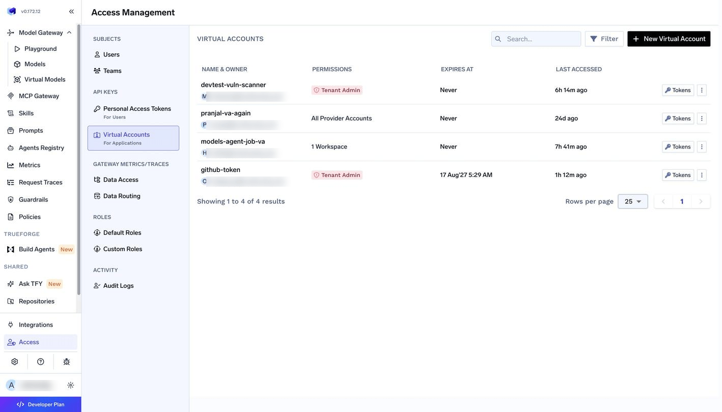 Virtual Accounts list showing name and owner, permissions summary, expiry and last accessed time