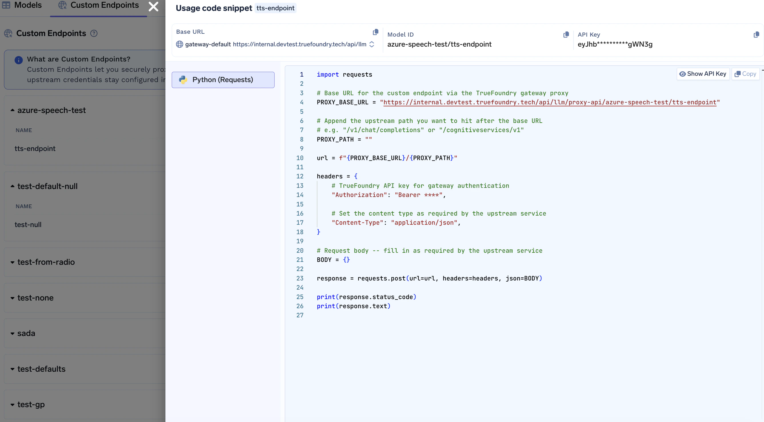 Usage code snippet modal showing Python Requests example for a custom endpoint