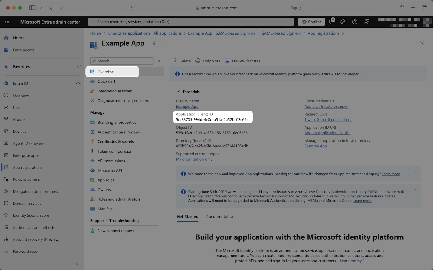 Entra app registration Overview page with the Application (client) ID highlighted