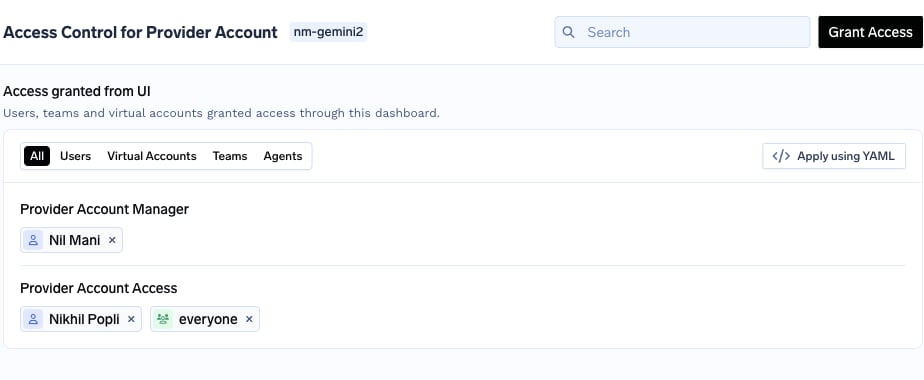 Access Control for the nm-gemini2 provider account showing Provider Account Manager and Provider Account Access grants