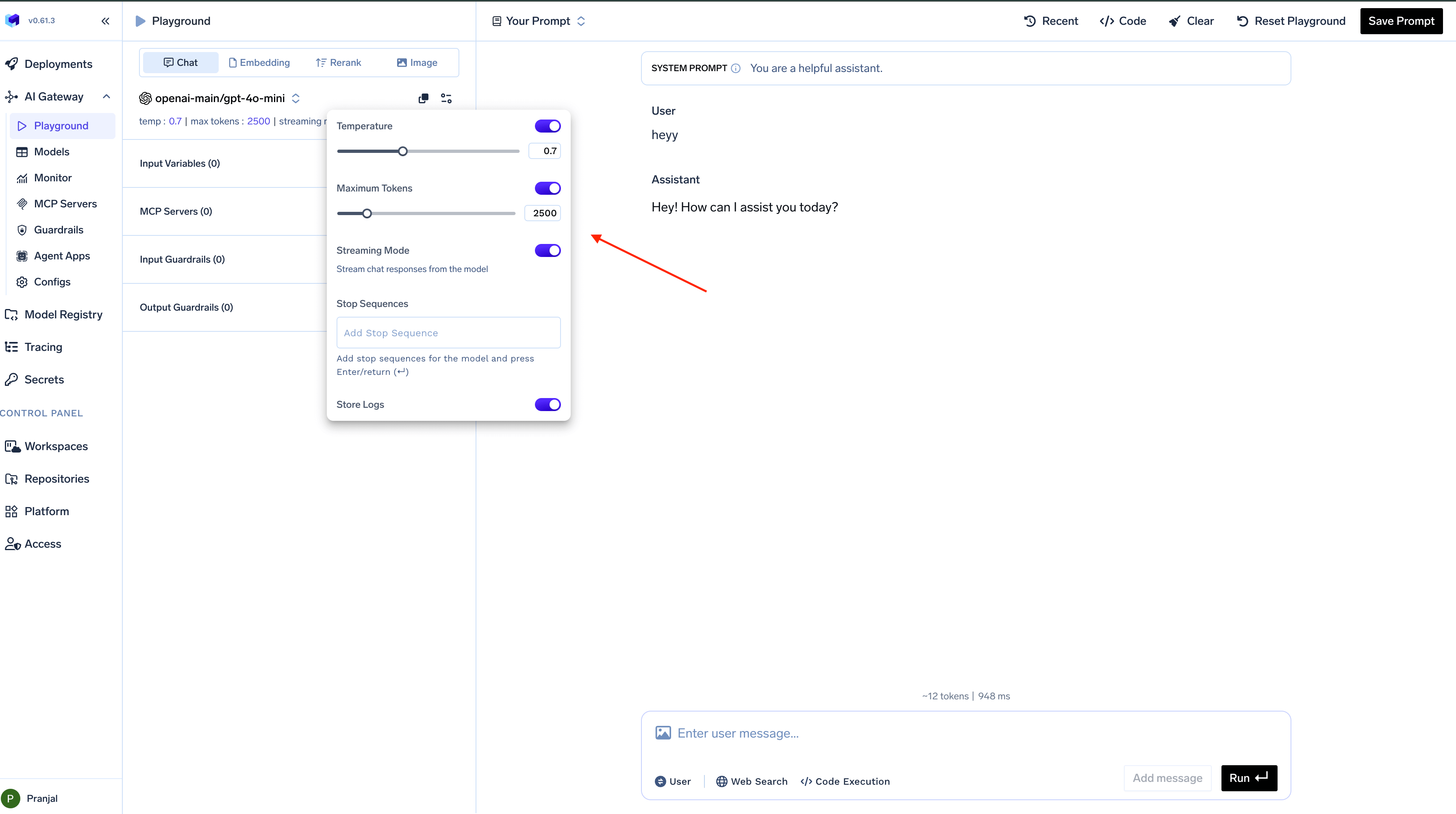 Model configuration settings panel