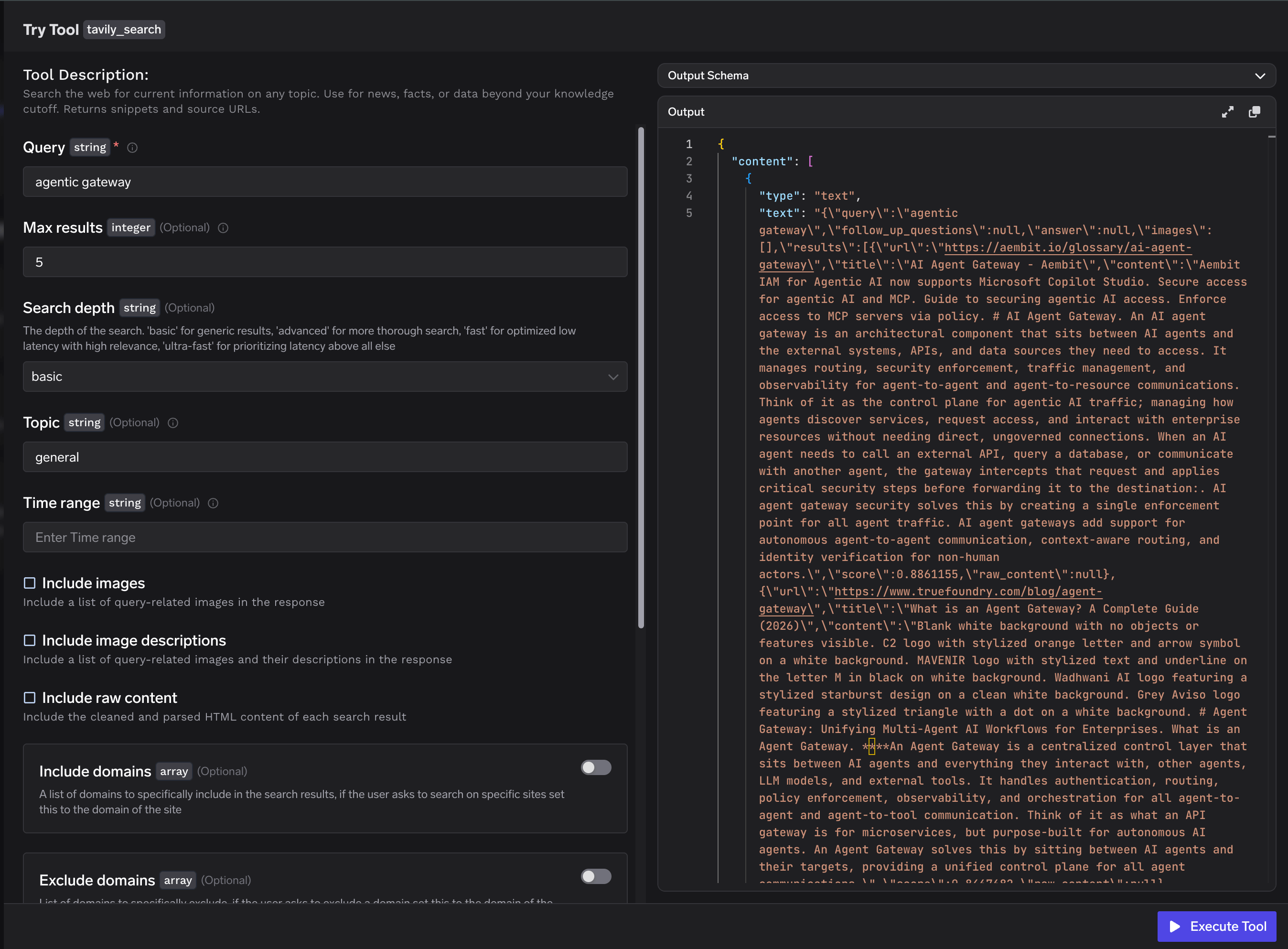 Tavily tool playground showing input fields and the JSON output panel