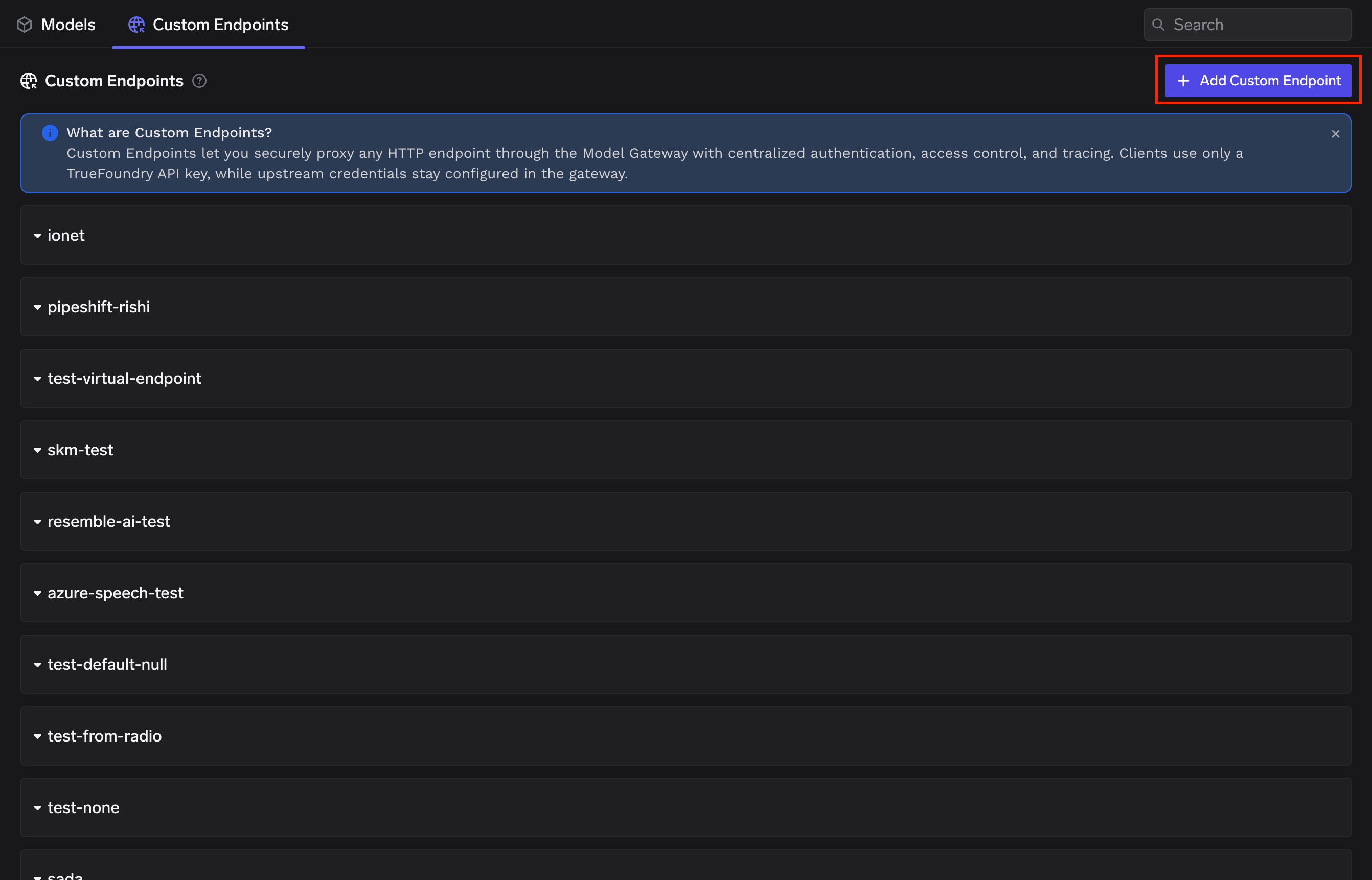 Custom Endpoints list with Add Custom Endpoint button