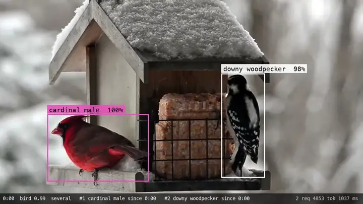 A snowy bird feeder with a male cardinal and a downy woodpecker, each in its own
labeled box with a species probability. A status bar shows the time, the bird_present
probability, and the visits open so far.