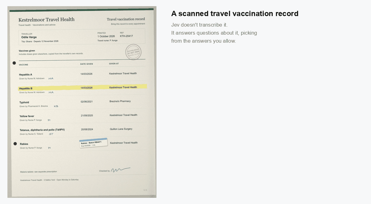 Jev reading a scanned travel vaccination record and flagging two
rows