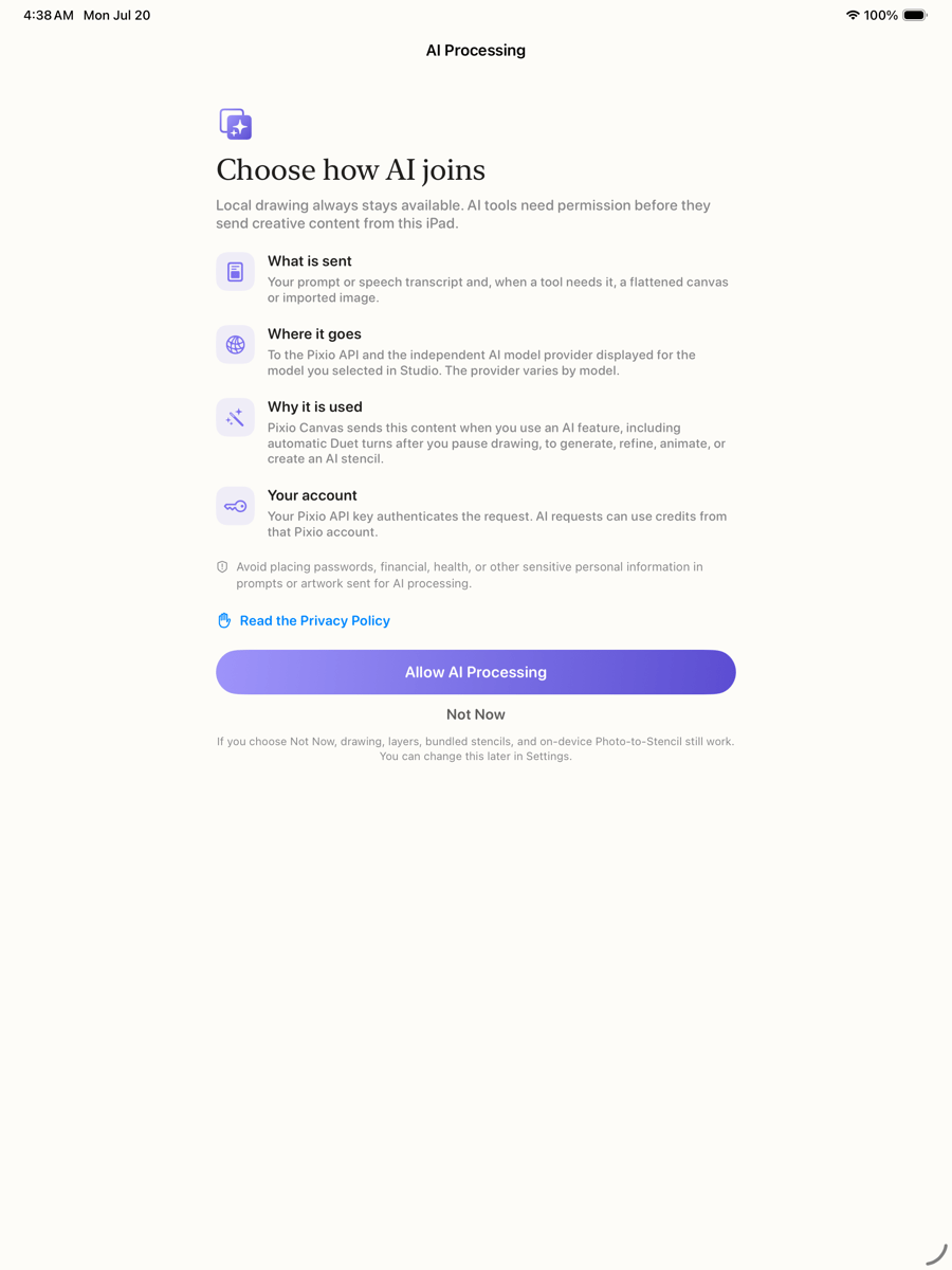 The Pixio Canvas AI Processing permission screen