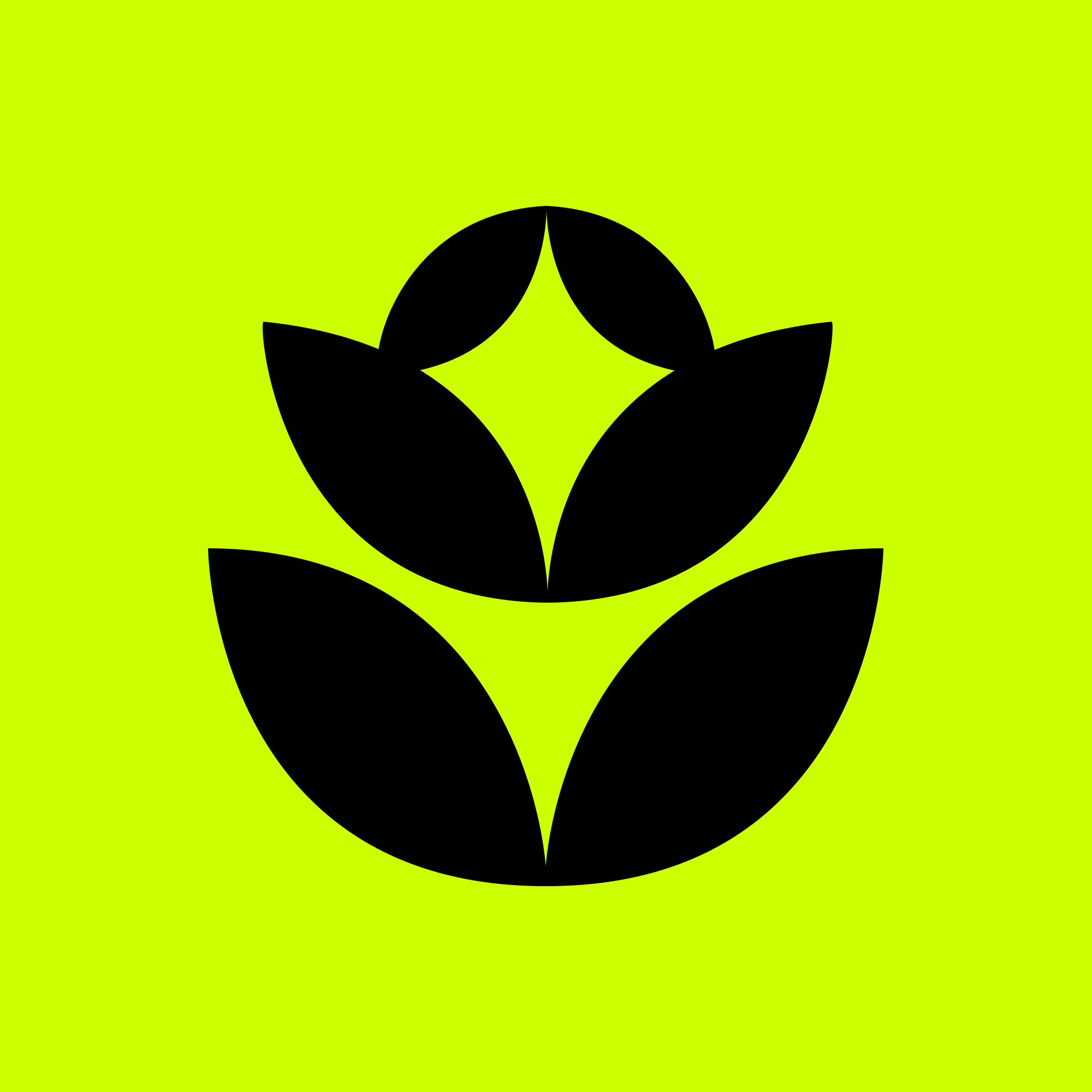 Tulip logo