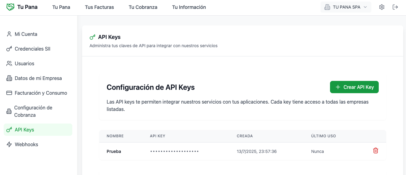 Vista de API Keys en Ajustes