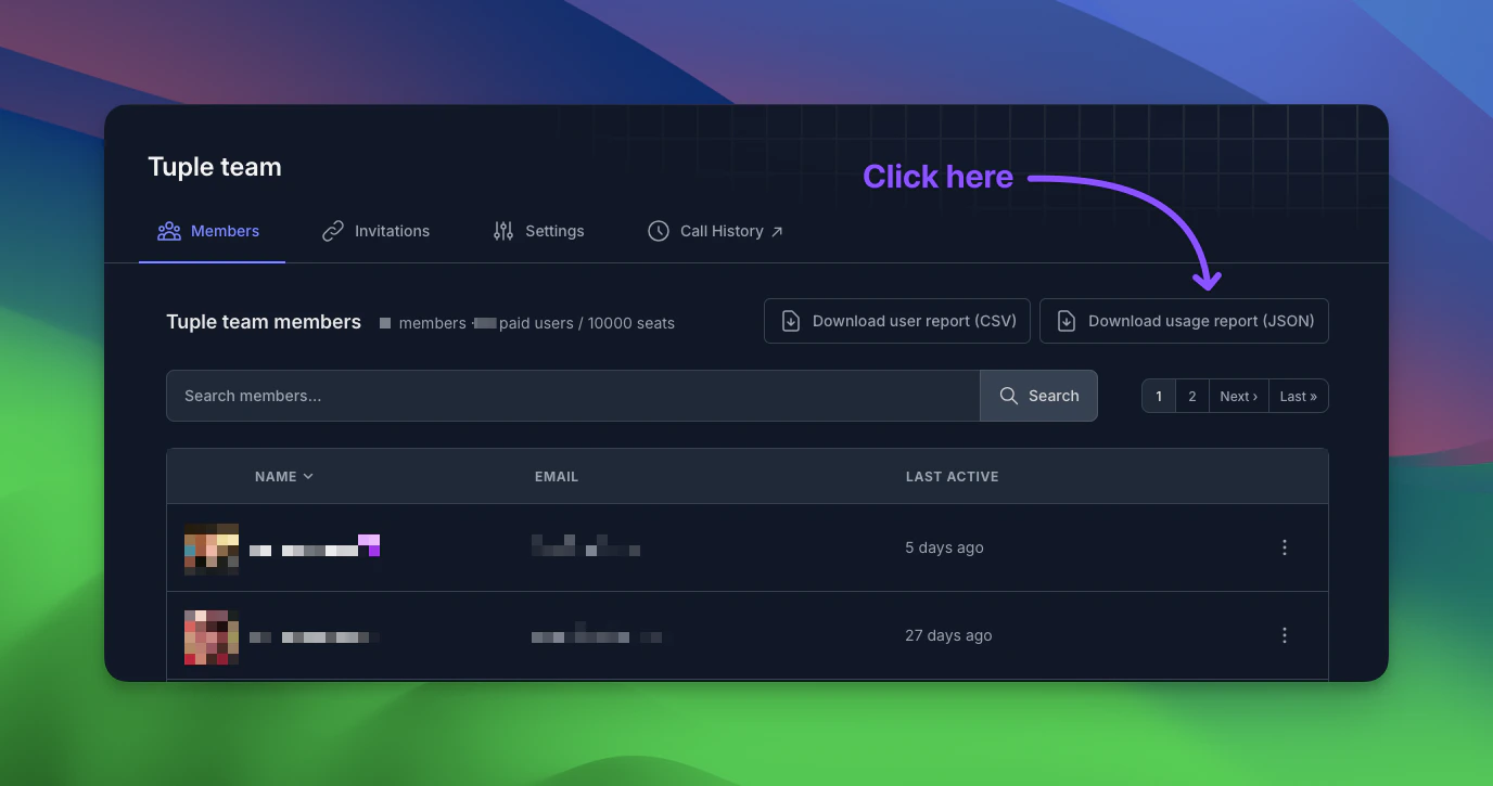 Team settings page with the Download usage report JSON button highlighted