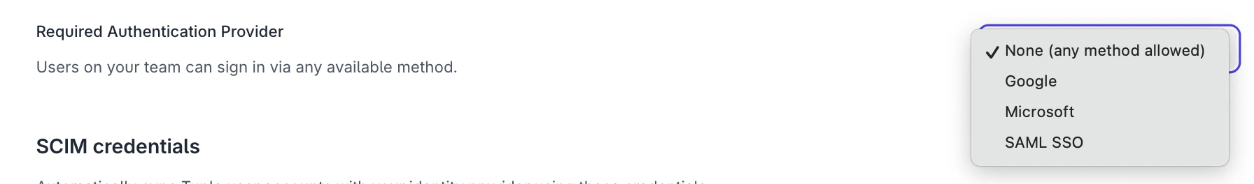 Team settings showing the required authentication provider options