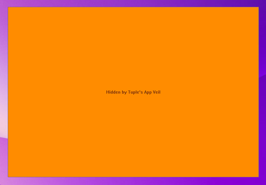 What other call participants see when a Windows app is veiled