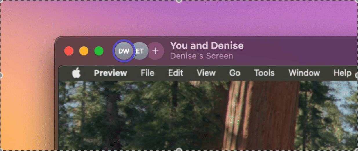 Animated avatar ring showing which participant currently has mouse and keyboard control
