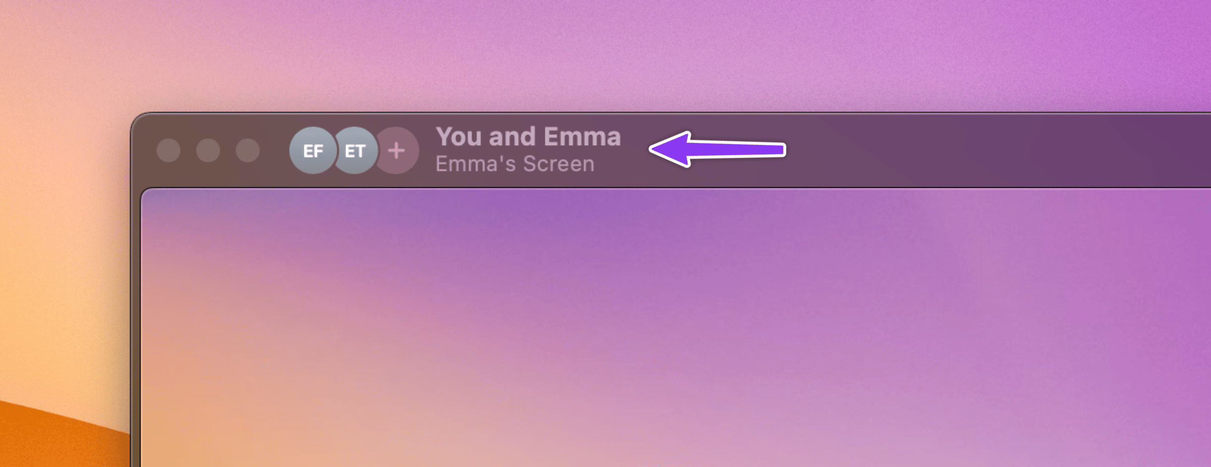 Participant display in the top-left corner of the shared screen window