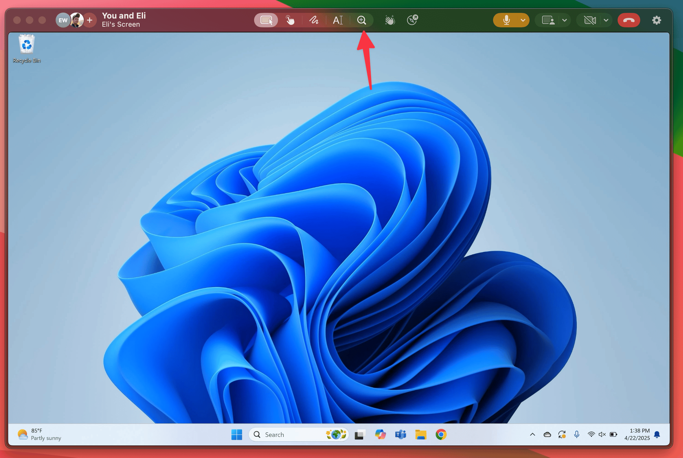 Zoom tool controls for zooming and panning around a shared screen