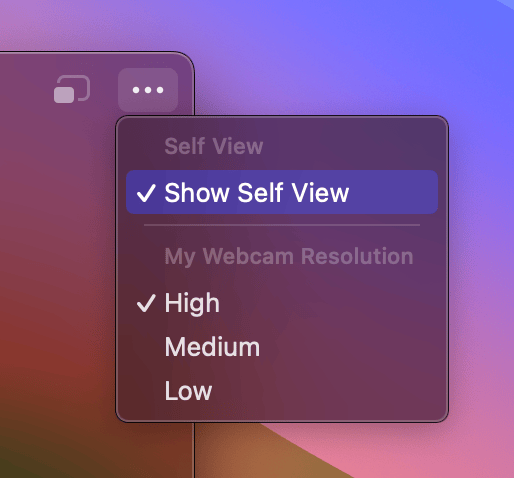 Webcam window menu with the Show or Hide Self View option
