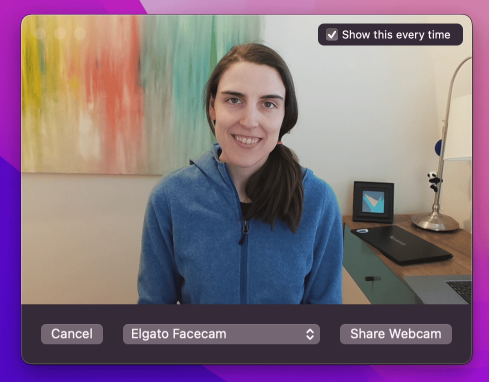 Preview window showing your webcam feed before sharing starts