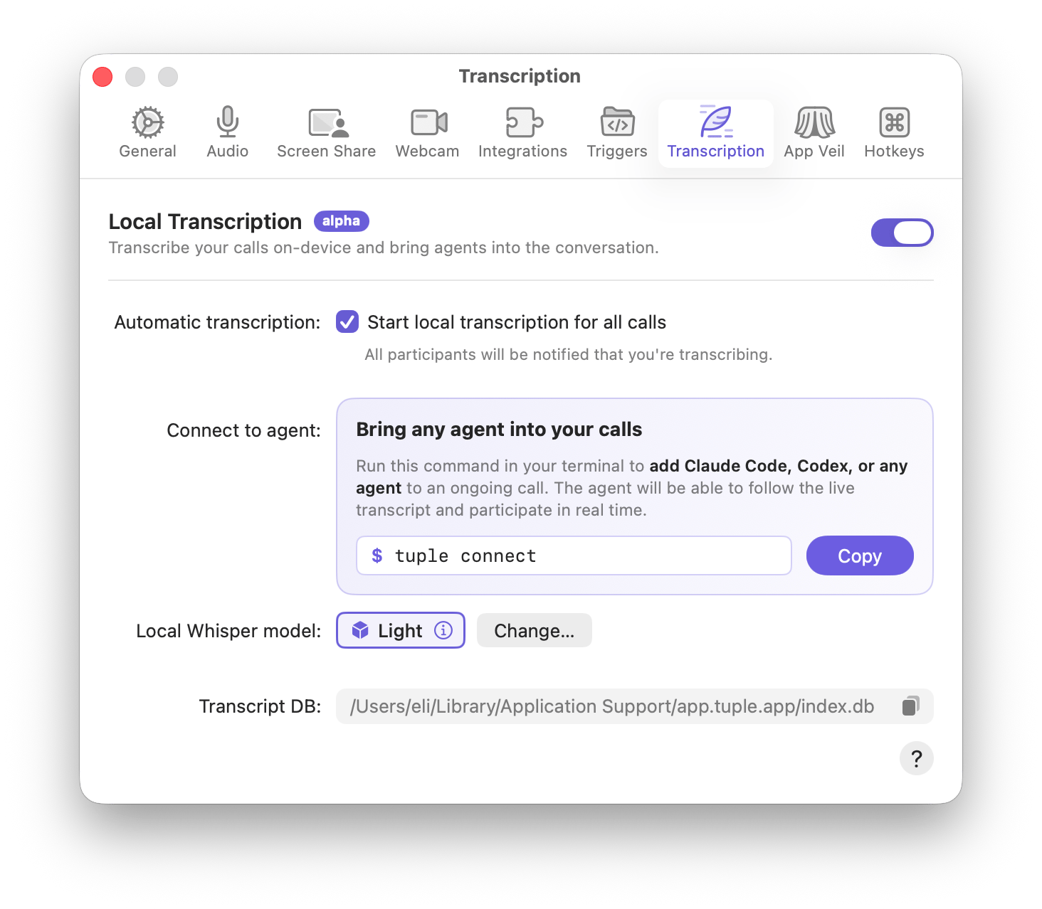 Transcription settings tab