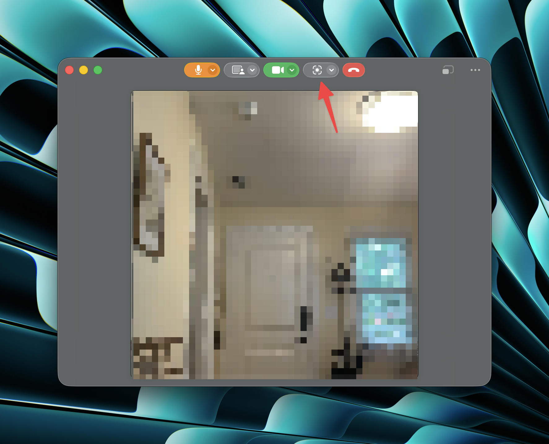 The Capture button in the webcam window on macOS