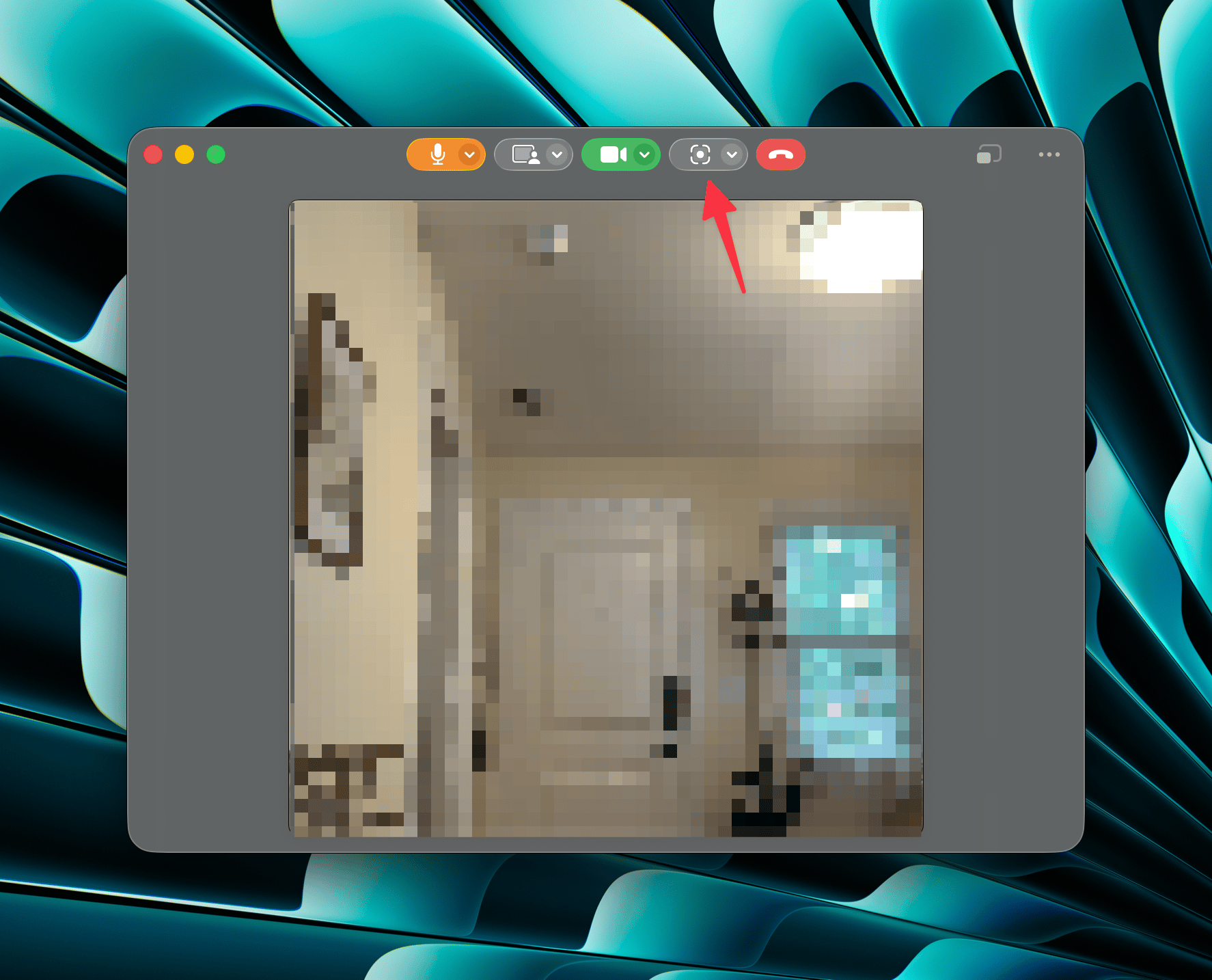 The Capture button in the webcam window on macOS