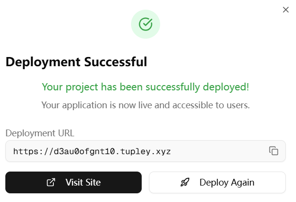 Dashboard after successful deployment showing copy and visit options