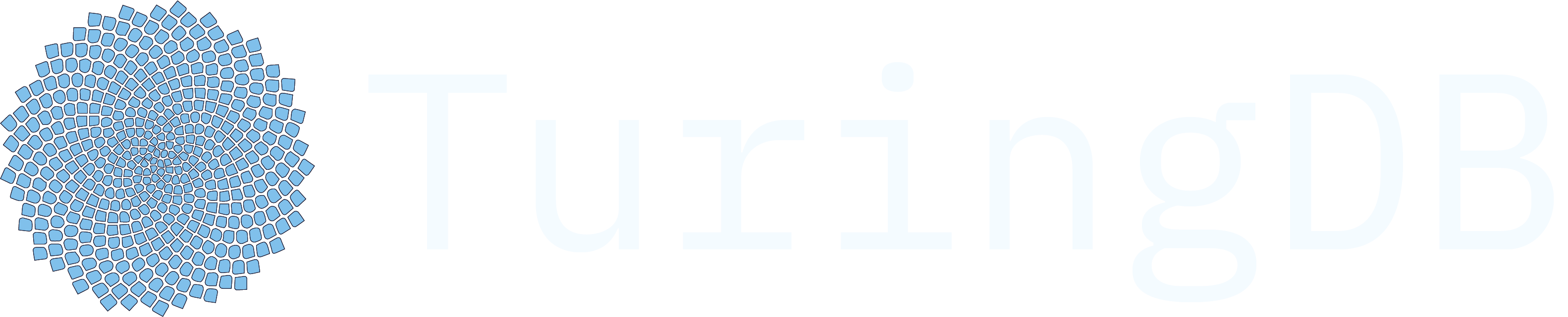 light logo