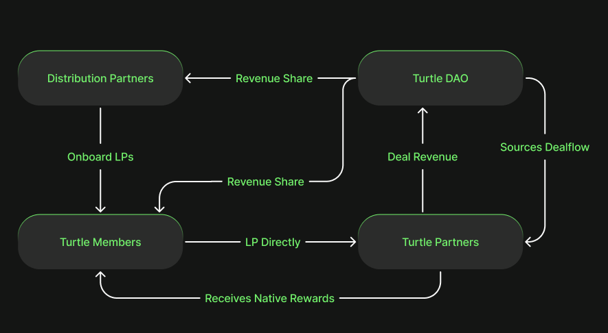 Turtle Earn Pn