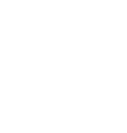 light logo