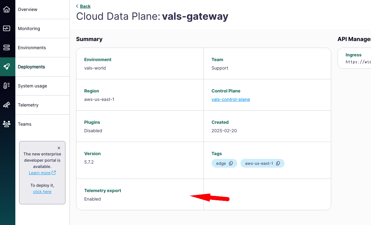 Tyk Cloud Data Plane Telemetry Enabled