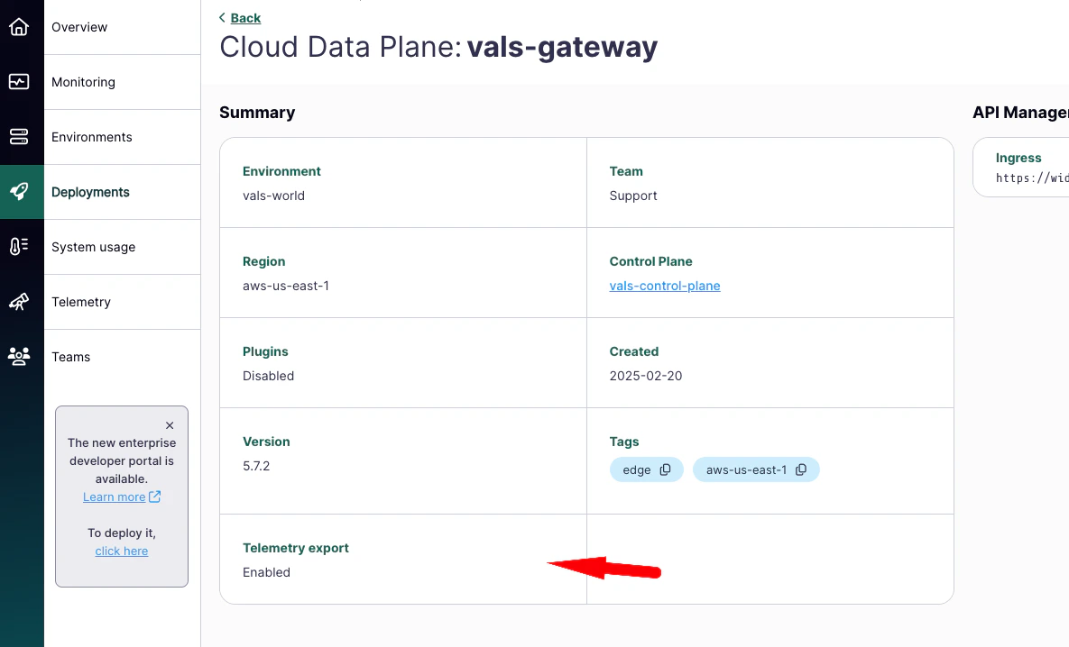 Tyk Cloud Data Plane Telemetry Enabled