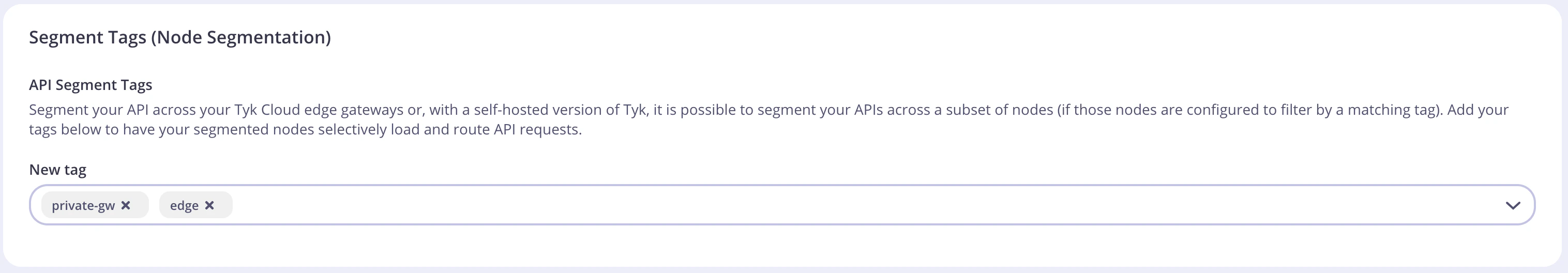 List of segment tags