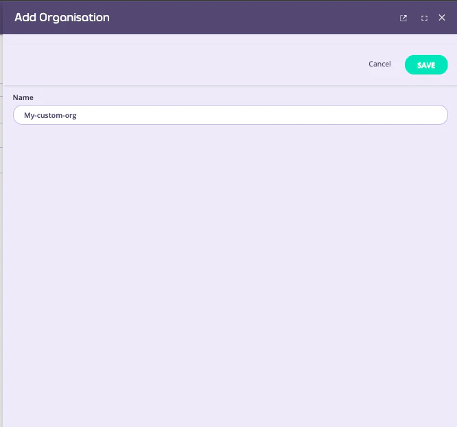 Giving the new Organisation a name