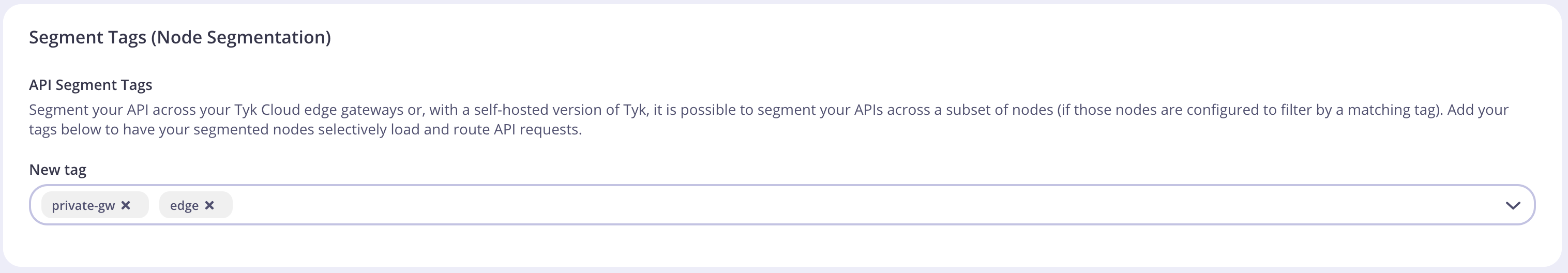 List of segment tags